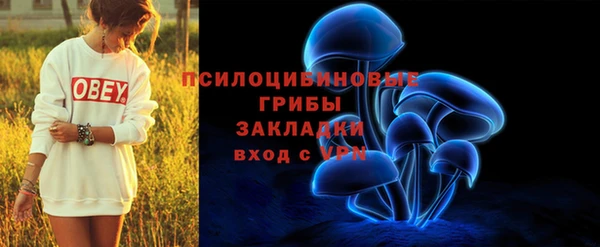 прущие грибы Наволоки