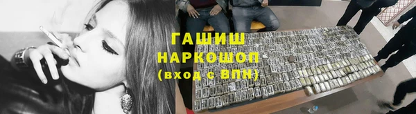 прущие грибы Наволоки