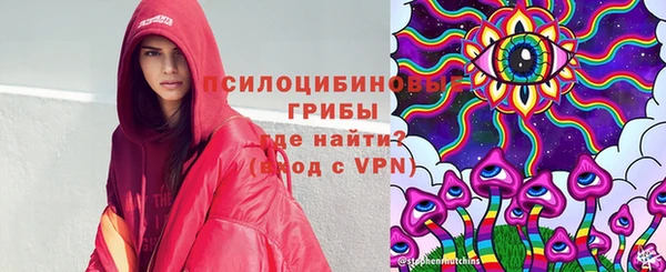 прущие грибы Наволоки