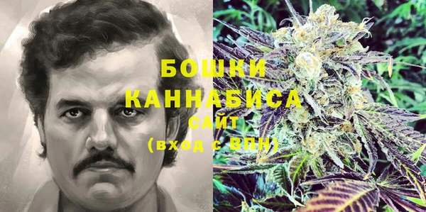 прущие грибы Наволоки