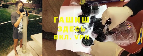 прущие грибы Наволоки