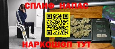 стафф Котовск