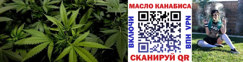 дарк нет состав Черногорск ТГК концентрат
