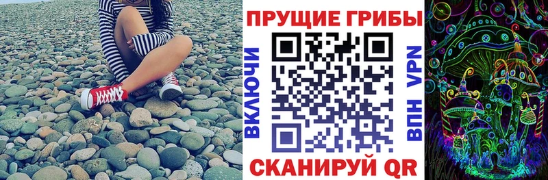 Галлюциногенные грибы MAGIC MUSHROOMS darknet телеграм Черногорск