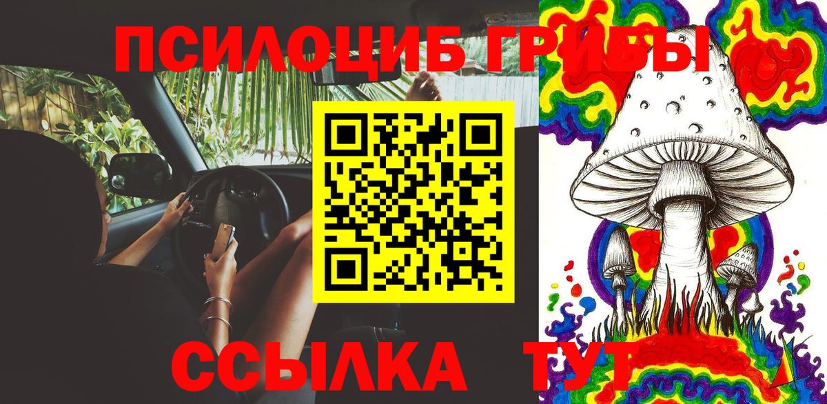 Псилоцибиновые грибы Magic Shrooms Черногорск