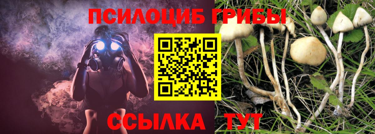 Псилоцибиновые грибы MAGIC MUSHROOMS  Галлюциногенные грибы Psilocybe  Вход с VPN  Черногорск 